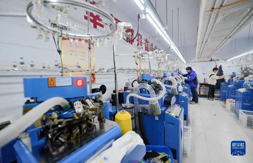 把舵定向稳驭舟 从中央经济工作会议部署看宏观政策稳健有效